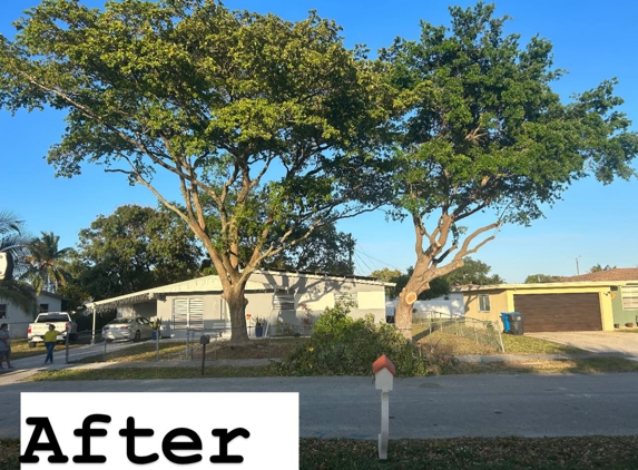 Go Green Affordable Tree Service - Hollywood, FL