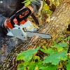 Al's Affordable Tree Service gallery