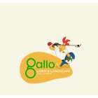 Gallo Lawn and Landscape Solutions