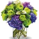 Plaza Flowers - Balloons-Retail & Delivery