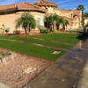 Exclusive Synthetic Grass gallery