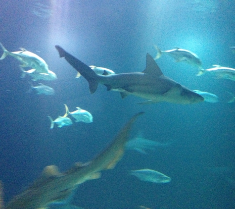 Omaha's Henry Doorly Zoo - Omaha, NE