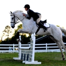 Riding Stables of Saddletree - Horse Training