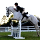 Riding Stables of Saddletree