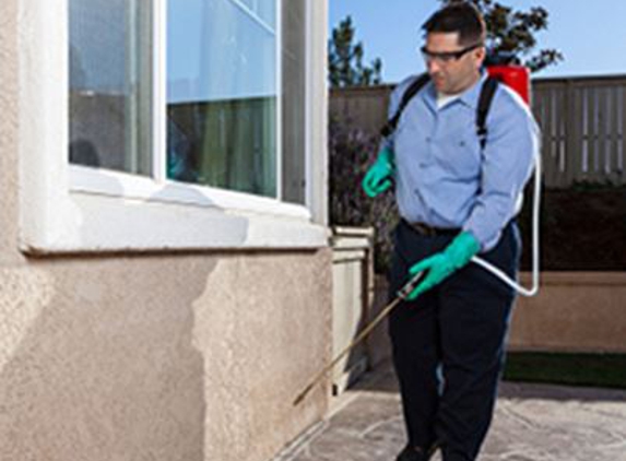 Alcorn Pest Services - Waterford, MI