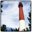 Barnegat Lighthouse State Park - Picnic Grounds