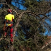 Bobby L Tree Service gallery