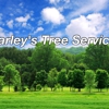 Charley's Tree Service gallery