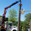 Td's Tree Service & STUMP Removal - Stump Removal & Grinding