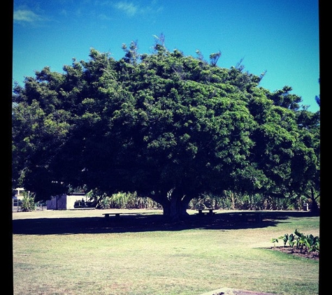 Maui Nui Botanical Gardens - Kahului, HI