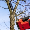 Chris's Lawn Service gallery