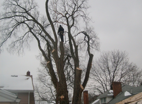 Trapper's Tree Service - Columbus, OH