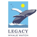 Legacy Whale Watch - Boat Rental & Charter