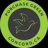 Purchase Green Artificial Grass- Concord gallery