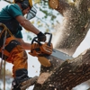 Nassau Tree Removal gallery