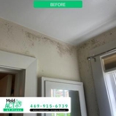 Mold Act of Plano - Mold Remediation