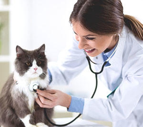 Animal Hospital Of Maple Valley - Maple Valley, WA