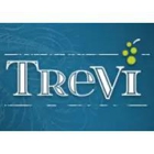 Trevi Apartments