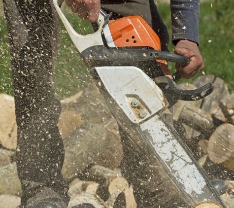 Bayside Tree and Stump Removal - Shady Side, MD