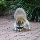 Cross Country Exterminators - Pest Control Equipment & Supplies