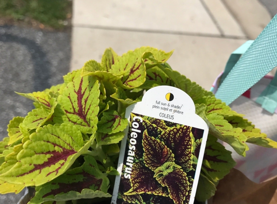 Poor Boy's Garden Center - Baltimore, MD