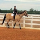 Aubrey Hill Equestrian - Riding Academies