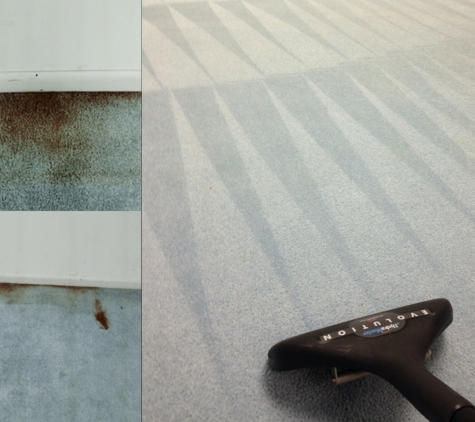 Emko's Carpet Cleaning Service - Bartlett, IL. Deep Carpet Cleaning in Roselle, IL
