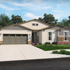 Landmark By Meritage Homes