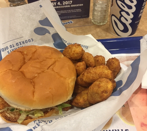 Culver's - Lansing, MI