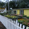 Wildflowers at Palmer's gallery