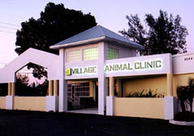 Village Animal Clinic 9044 Highway A1a Alt Palm Beach Gardens Fl