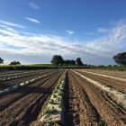 Clements Ridge Produce and Bakery