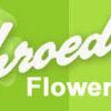 Schroeder's Flowers gallery