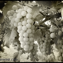 The New River Vineyard & Winery LLC - Wineries