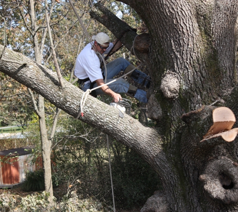 Southern Exteriors Tree Service - Searcy, AR