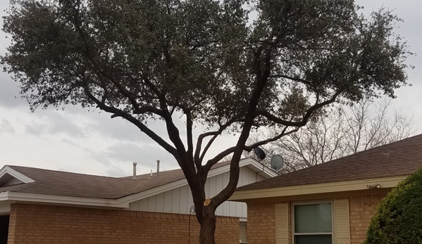 True Care Services - Lubbock, TX. This trimming changed the entire look of this home