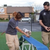 K9 Mania Dog Training gallery