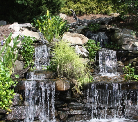 Mountain Landscapes - Asheville, NC