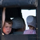 Step Back In Time Tours - Sightseeing Tours