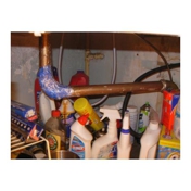 Gallery Image Number 7