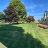 All Year Lawn gallery