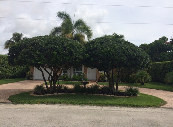 Speedy Lawn Maintenance & Tree Service - Boynton Beach, FL