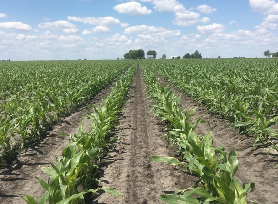 Hi-Tech Farms - Pawnee, IL