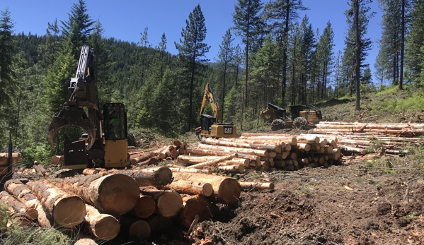 ATF Timberland Consulting, LLC - Colville, WA. Loader, Processor and Skidder near the Log Deck