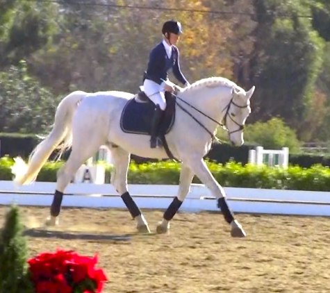 Swede Equine Show Stables - San Marcos, CA