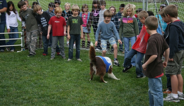 Soccer Dogs - Ocala, FL