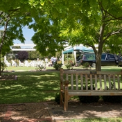 Gallery Image Number 3