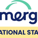 Amergis - Executive Search Consultants