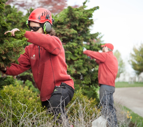 Arborist Enterprises, Inc. - Manheim, PA