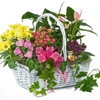 STANLEY's Florist & Gifts, 800USAsend.com gallery